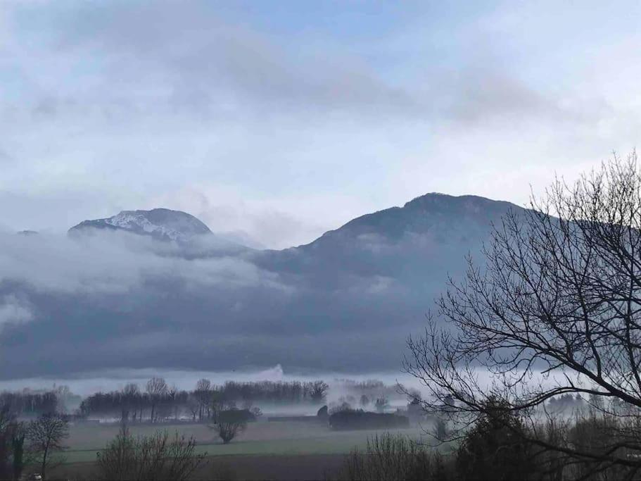 La Dent Du Loup A La Campagne, Proche De Grenoble * Noyarey